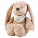 Sleepy Bunny | Cuddly Nightlight in Beige - Little and Giant Explorers Nattou