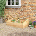 Wooden Cold Frame Greenhouse | Polycarbonate - Little and Giant Explorers Outsunny