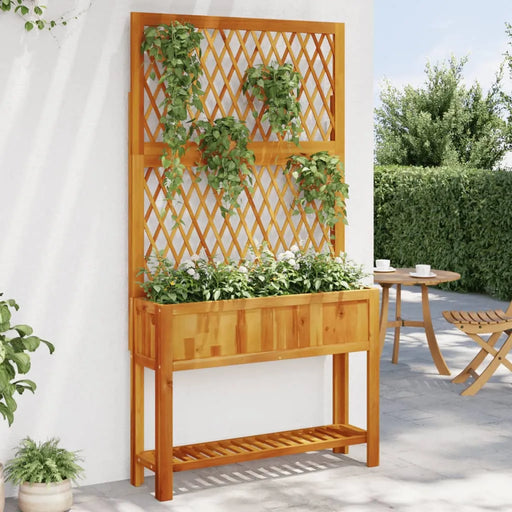 Planter with Trellis and Shelf 100x32x185 cm Solid Wood Acacia - Little and Giant Explorers vidaXL