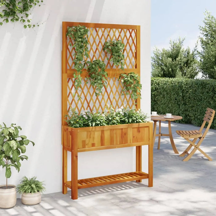 Planter with Trellis and Shelf 100x32x185 cm Solid Wood Acacia - Little and Giant Explorers vidaXL