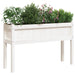 Solid pine wood garden planter box with green plants and purple flowers