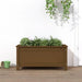 Solid pinewood garden planter with green plants on wood patio, honey brown finish