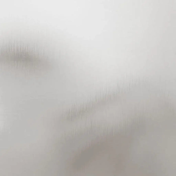 set of two silver stainless steel raised garden planters in different sizes on white background