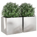 2-piece stainless steel garden planter set with green leafy plants and white flowers
