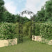 Steel garden arch trellis in lawn with raised flower beds and greenery