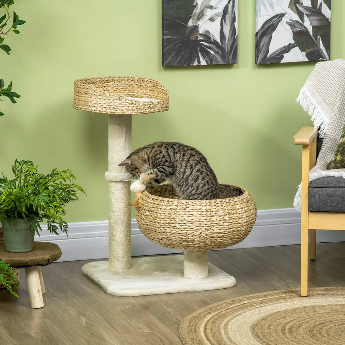 Tabby cat playing with toy in woven cat tree basket in cozy living room with green wall
