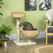 Tabby cat playing with toy in woven cat tree basket in cozy living room with green wall
