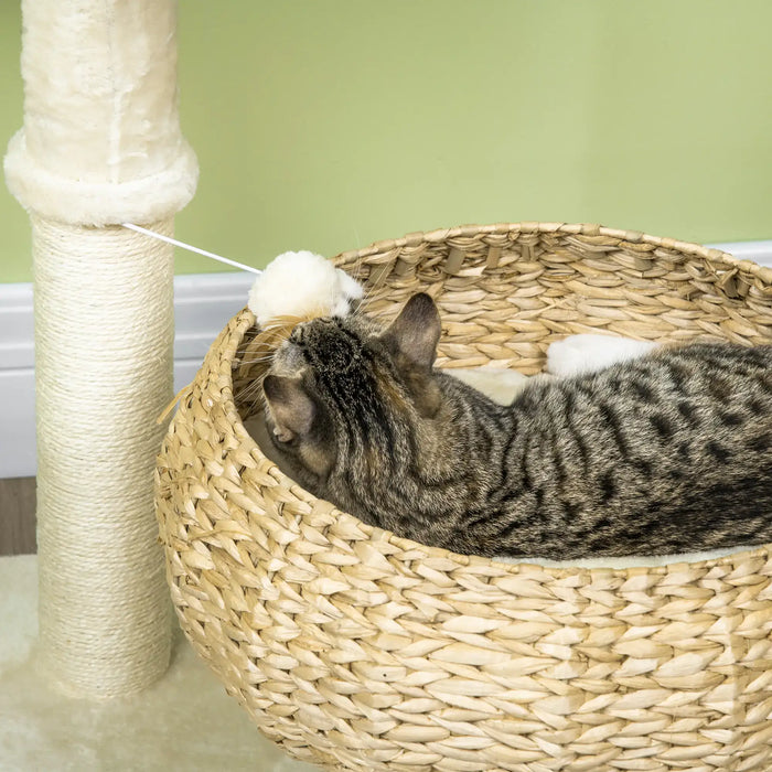 Tabby cat lying in woven basket bed playing with attached soft white ball toy near scratching post