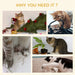 Collage of cats causing damage: kitten near tree decor, cat biting cable, paw scratching surface, cat toppling plant, and black white cat tearing paper