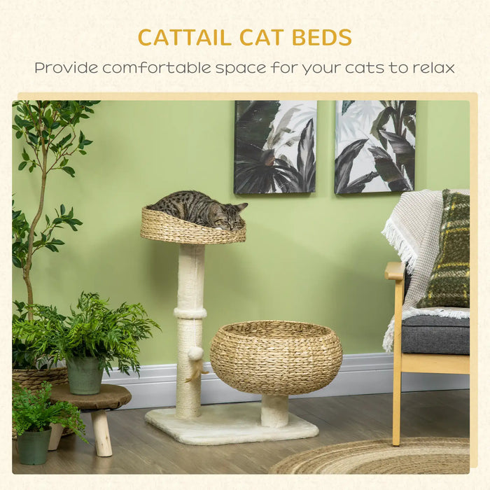 Indoor cat tree with cattail cat beds, featuring a sleeping tabby cat, green wall, plants, and cozy living room