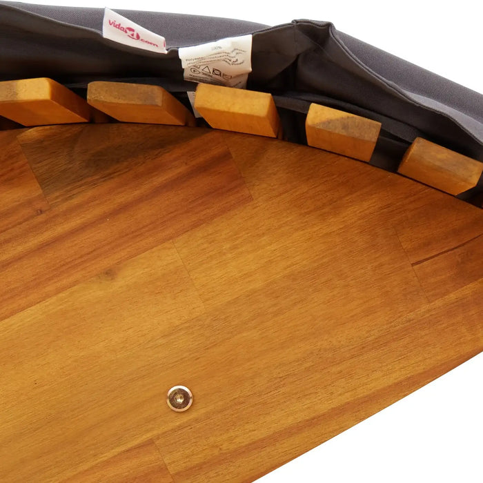 Sun Lounger Set of 2 in Dark grey - Little and Giant Explorers vidaXL