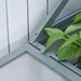 Detail of grey wooden mini greenhouse corner with green plant leaves inside