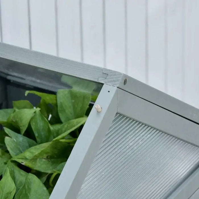 Close-up of grey wooden mini greenhouse with clear panels and leafy plants inside