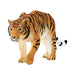 Tiger Hunting Toy - Realistic Big Cat Figurine | Educational Wildlife Model MOJO FUN - Little and Giant Explorers Mojo Fun