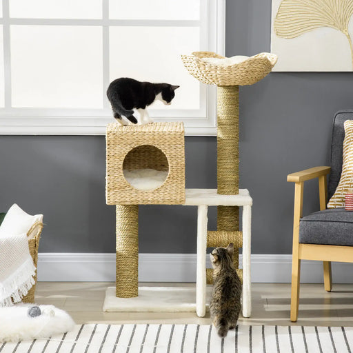 Black and white cat on wicker cat tree with tabby cat on floor in modern living room