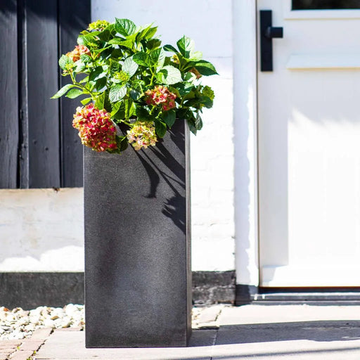 Tall black double-walled flower pot with hydrangeas outside a white house entrance