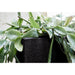 Urban Smooth Square Planter in Black (40 x 40 x 40cm) - Little and Giant Explorers Capi