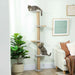 Wall-Mounted Cat Climbing Tower – 180cm | Sisal-Wrapped Post and Platforms PAWHUT - Little and Giant Explorers PawHut