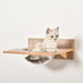 Wall-Mounted Cat Shelves with Hammock and Scratching Post | 4-Piece Cat Climbing Set PAWHUT - Little and Giant Explorers PawHut
