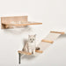 Wall-Mounted Cat Shelves with Hammock and Scratching Post | 4-Piece Cat Climbing Set PAWHUT - Little and Giant Explorers PawHut