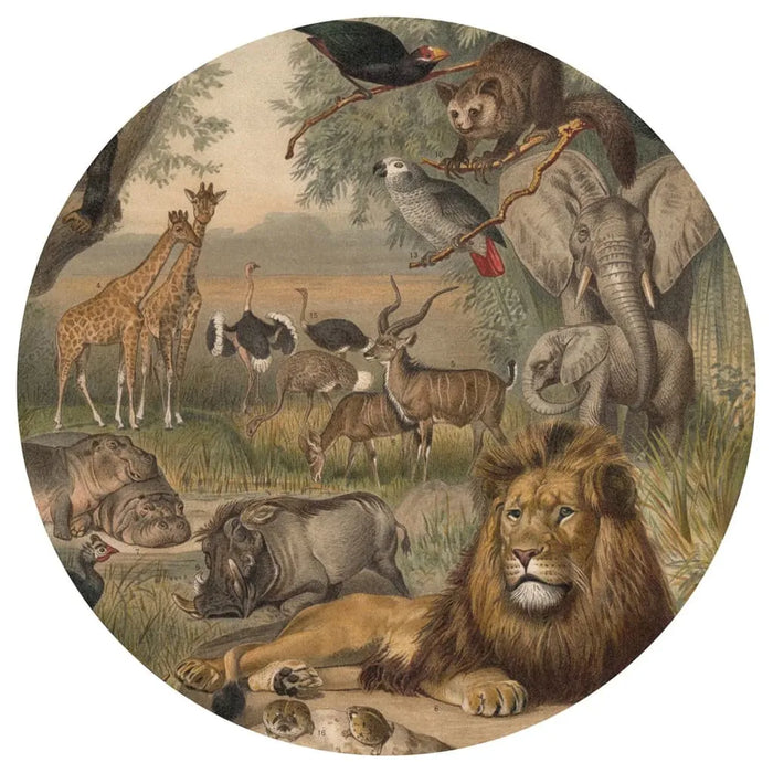 Wallpaper 'Circle Animals of Africa' Ø142.5cm - Little and Giant Explorers WallArt