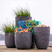 Waste Rib Egg Planter | 100% Recycled Seawaste Materials with CO2 Neutral Production - Little and Giant Explorers Capi