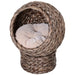 Wicker Cat Bed Raised Rattan Cat Basket - Little and Giant Explorers PawHut