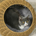 Wicker Cat House with Washable Cushion - Little and Giant Explorers PawHut