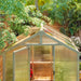 Walk-in Wooden Greenhouse with Lockable Door (6.6 x 6FT) - Little and Giant Explorers Outsunny