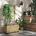 Wooden Raised Planter with Back Trellis in Natural Finish - Little and Giant Explorers Outsunny