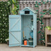 Wooden Garden Shed with 3 Shelves in Blue - Little and Giant Explorers Outsunny