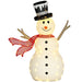Lighted outdoor snowman decoration with black top hat, red scarf, smiling face, and stick arms