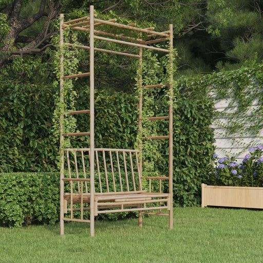 Bamboo garden bench with pergola trellis and climbing plants in a lush backyard