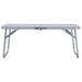 Folding Aluminium Camping Table (60 x 40cm) - Little and Giant Explorers vidaXL