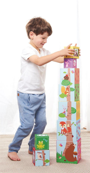 Stacking Cubes - Little and Giant Explorers Lelin