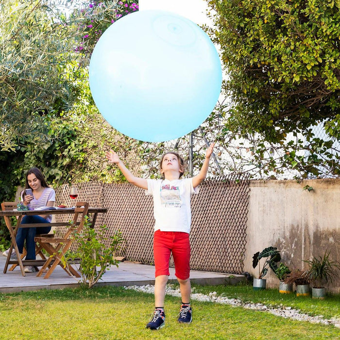 Giant Inflatable Bubble Ball - Little and Giant Explorers InnovaGoods