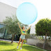 Giant Inflatable Bubble Ball - Little and Giant Explorers InnovaGoods