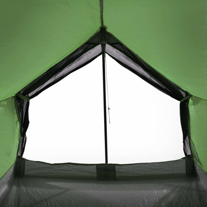 Green Taffeta Camping Tent (2 persons) - Little and Giant Explorers vidaXL