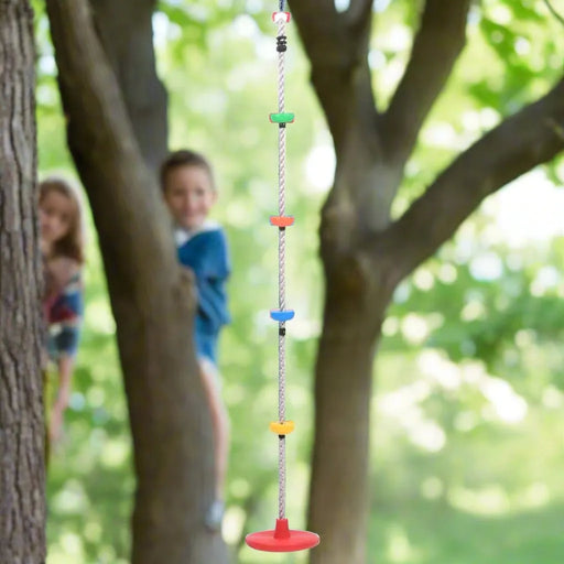 Climbing Rope Swing with Platforms and Disc - Little and Giant Explorers vidaXL