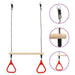 Trapeze Swing Bar with Rings - Little and Giant Explorers vidaXL